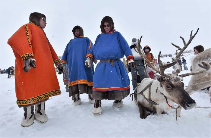 Оленеводы Коми