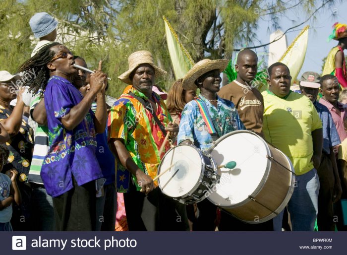 Рианна в карнавальном костюме