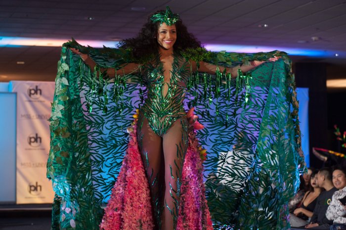 Мисс Вселенная национальные костюмы 2017