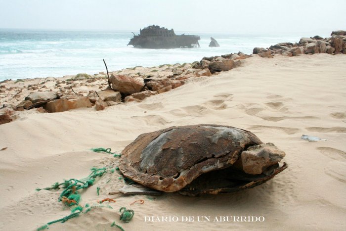 Грог Кабо Верде