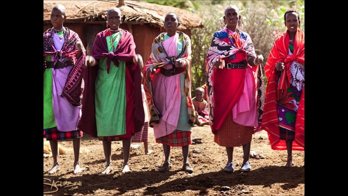 Масаи полигамия