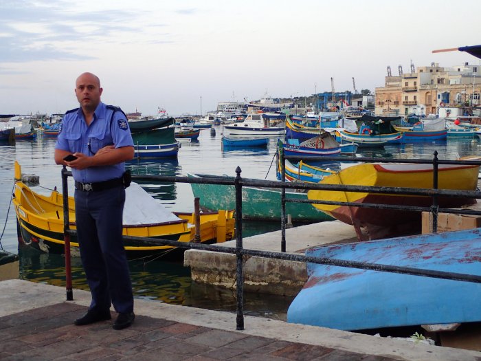 Мальтийцы фото