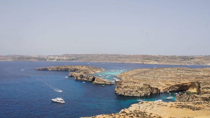 Мальтийцы внешность женщины