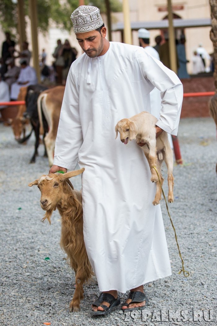 Дишдаша Оман