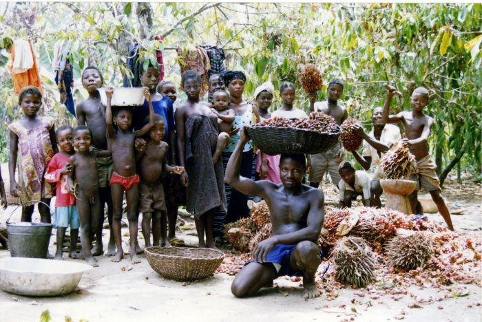 Сьерра Леоне золотодобыча