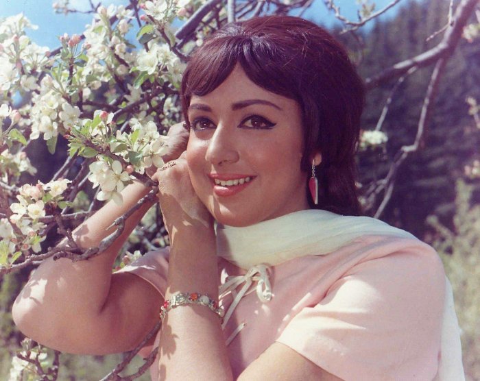 Хема малини фото