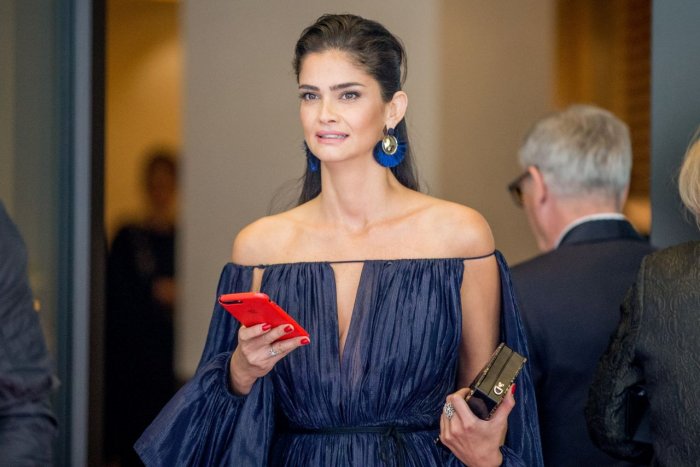 Shermine Shahrivar 2020