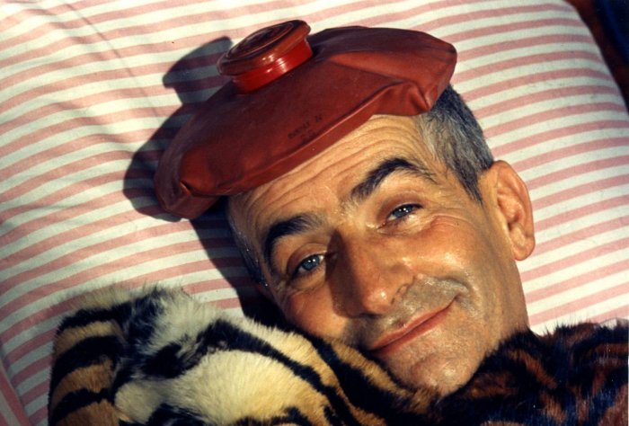 Луи де Фюнес семья