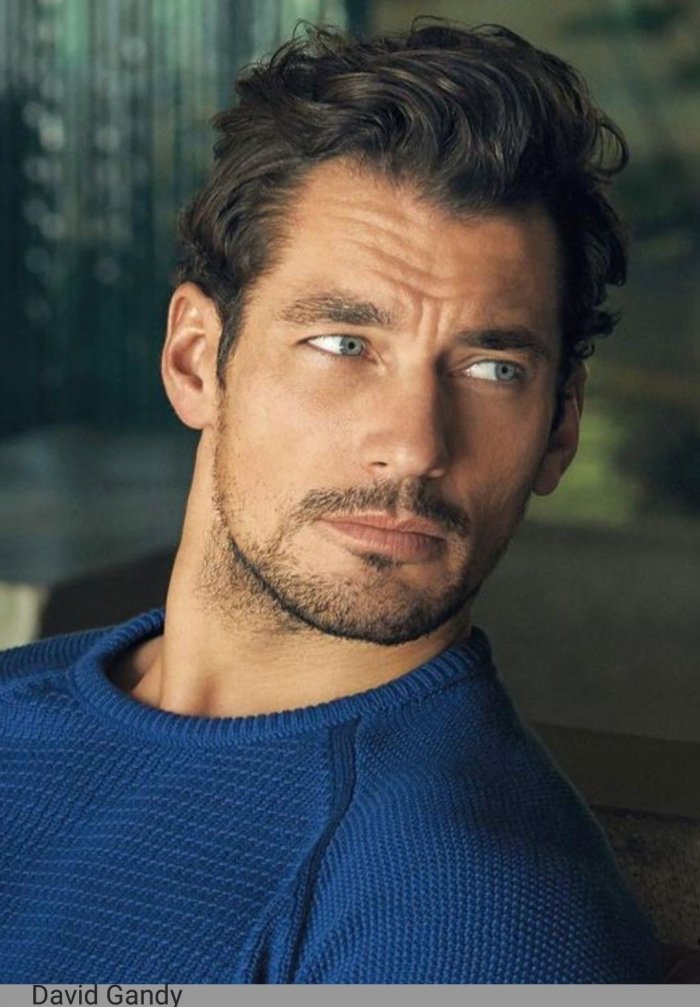 David James Gandy