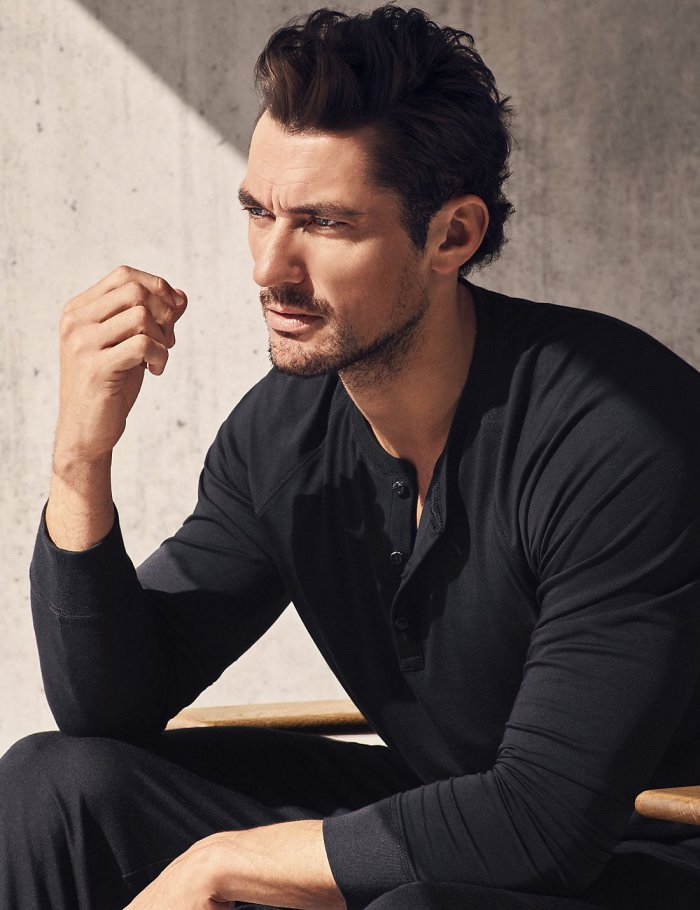 Дэвид Ганди модель