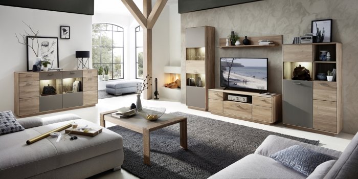 Гостиная Омега