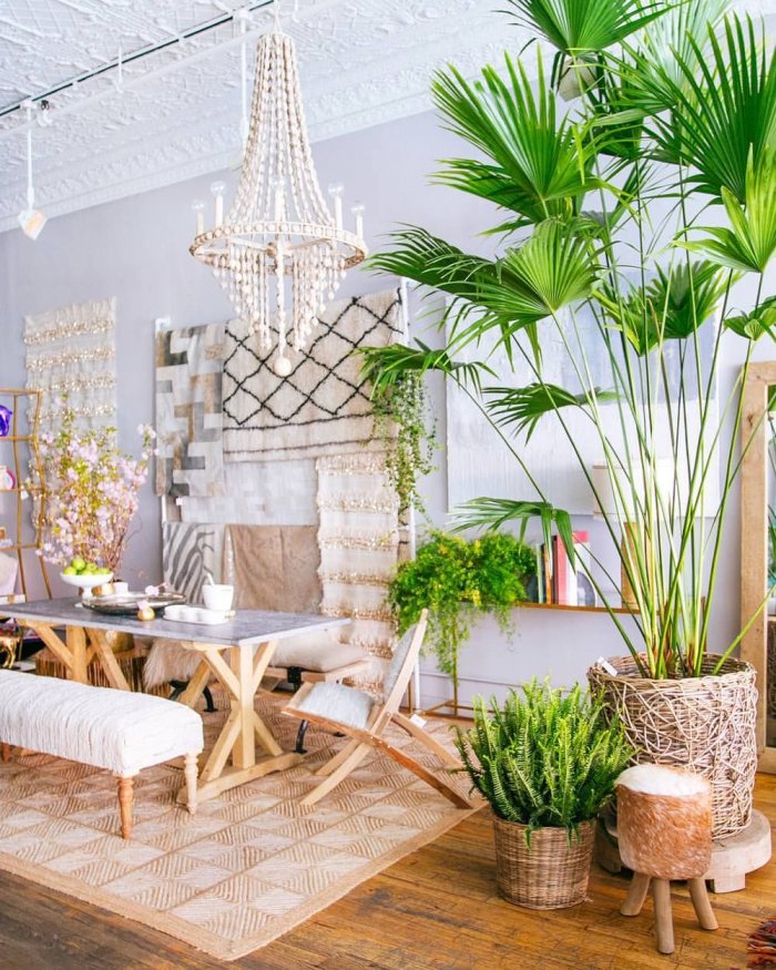 Комната в тропическом стиле