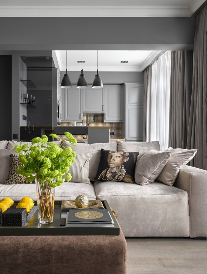 Кухня гостиная