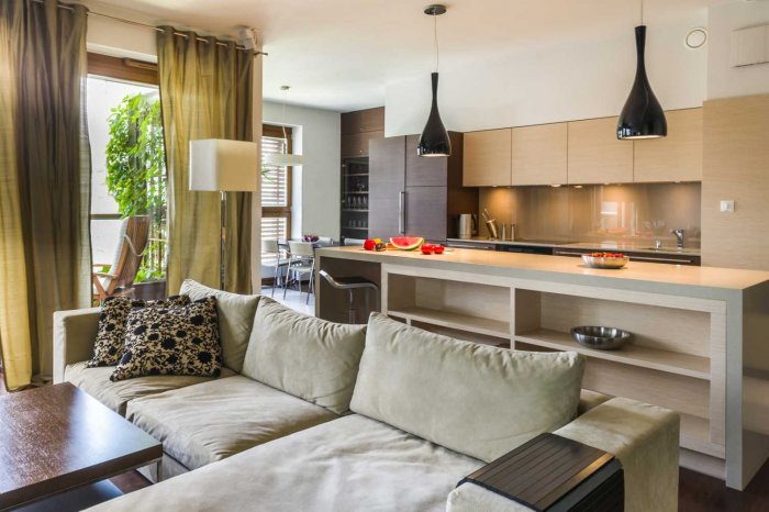 Гостиная совмещенная с кухонной зоной