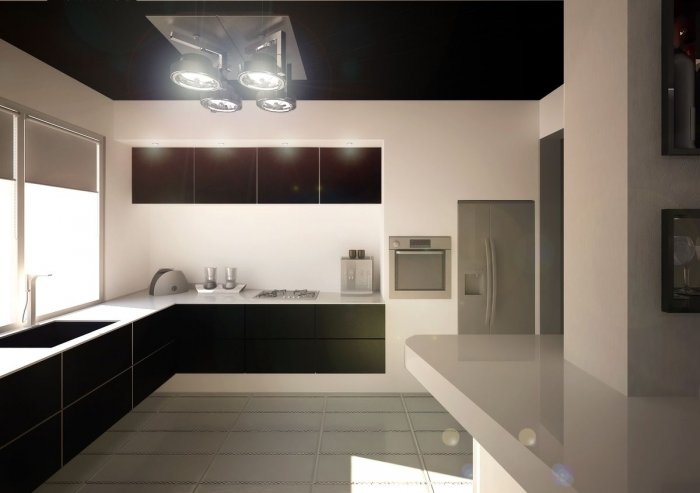 Кухни в стиле Минимализм угловые в частном доме