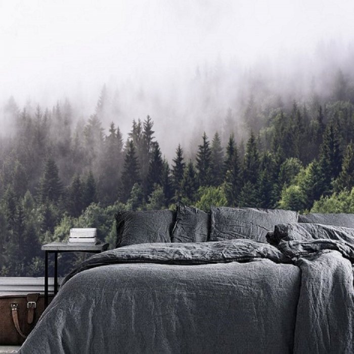 Спальня лес в тумане