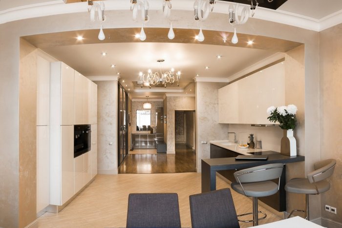 Кухня совмещенная с прихожей