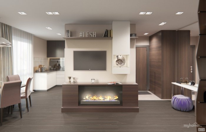 Интерьер современной прихожая кухня гостиная