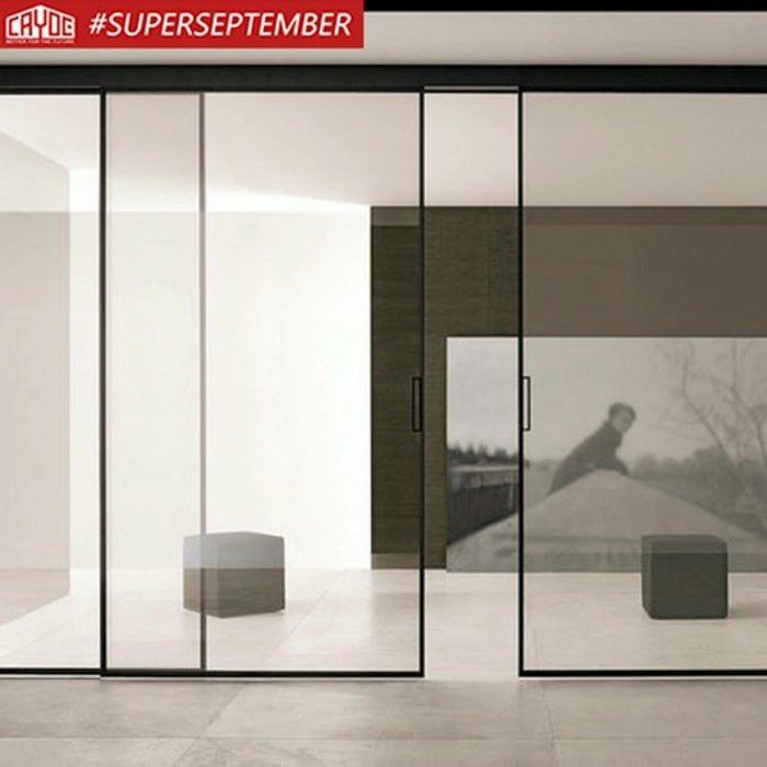 Стеклянные двери римадезио