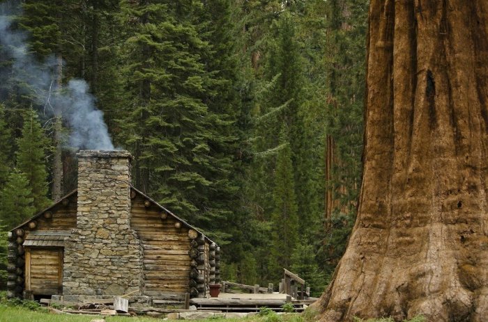 Дом в секвойе