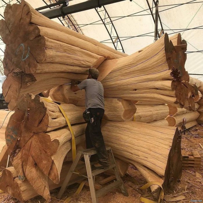 Дома из вековых деревьев