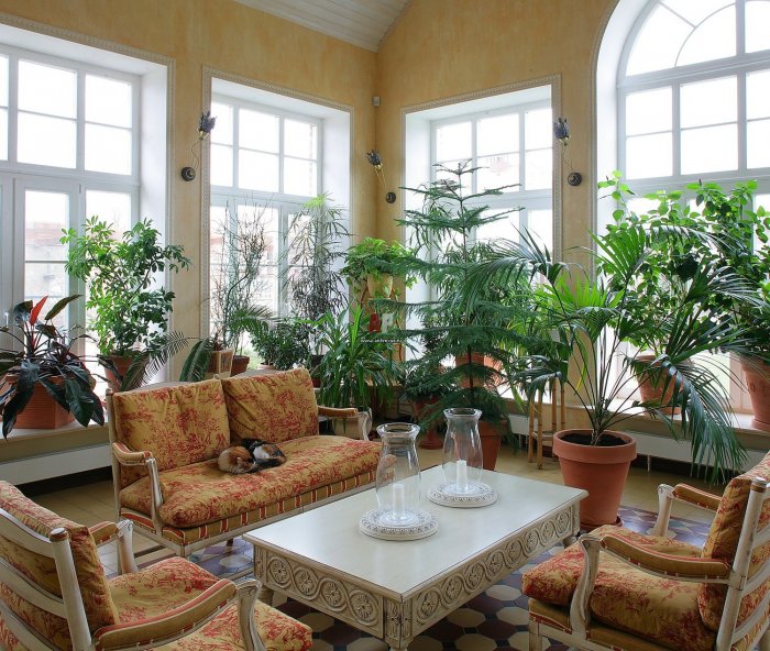 Интерьер зимнего сада