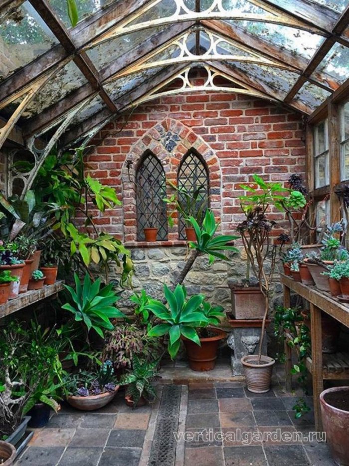 Гарден Лодж оранжерея