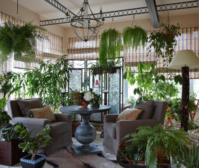 Зимние горшечные растения в саду