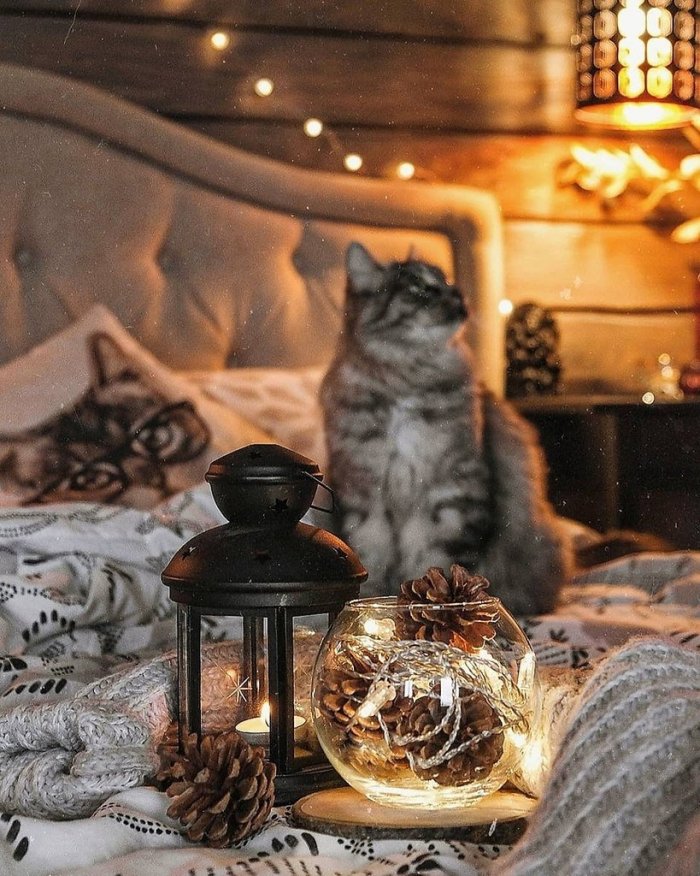 Уютный вечер у камина