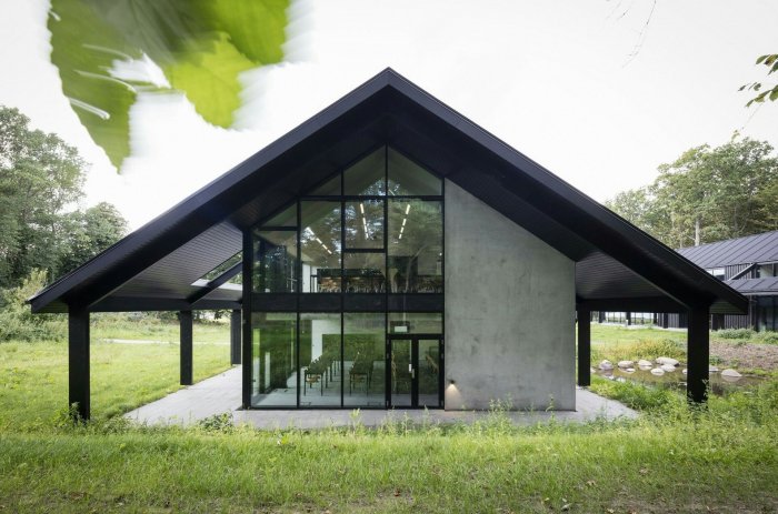 Стильный дом со скатной крышей