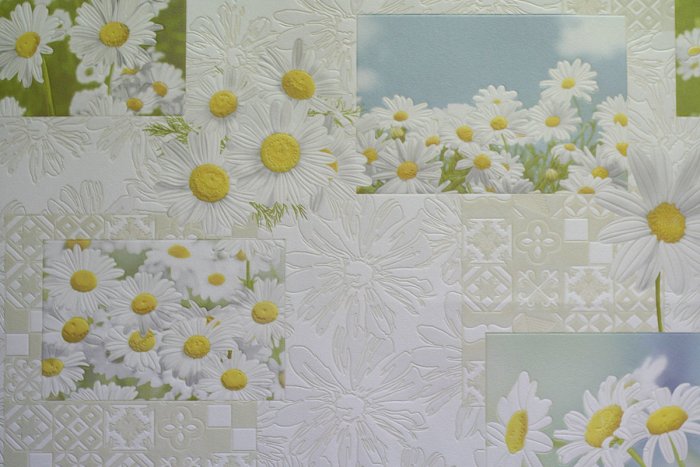 Обои Elysium ромашки 901302
