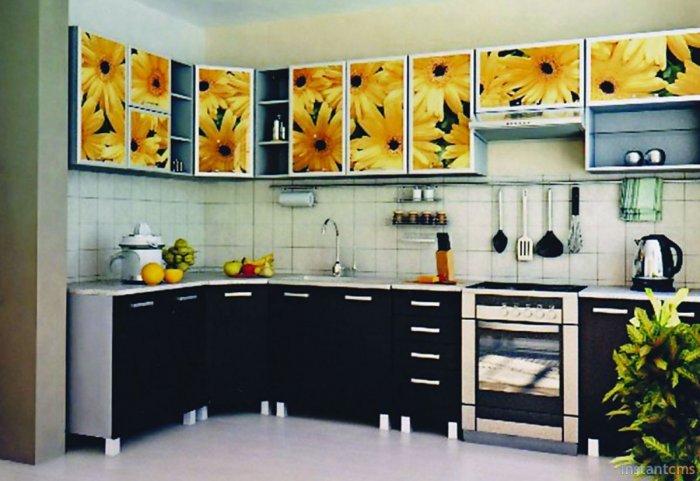 Пластиковые кухни с фотопечатью