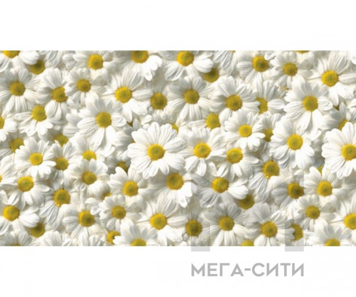 SP 019 Альбико