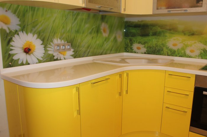 Кухонный гарнитур Ромашка