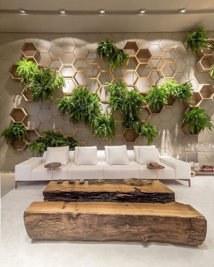 Фитостены можжевельник