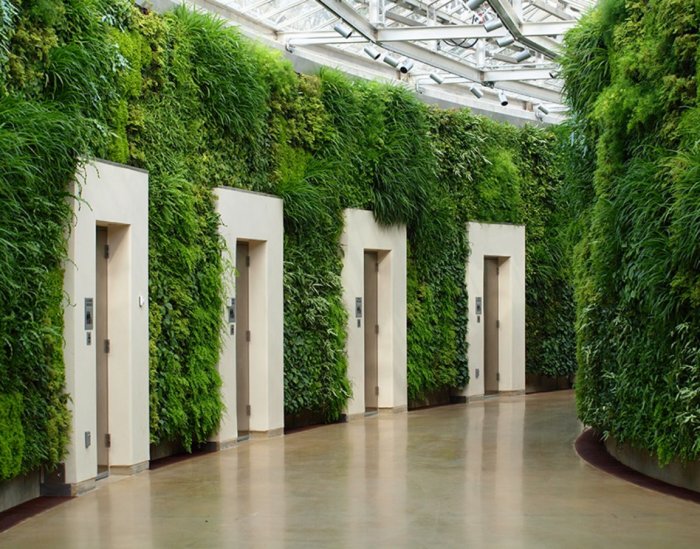 Фитостена в Северной Америке располагается в садах Лонгвуда