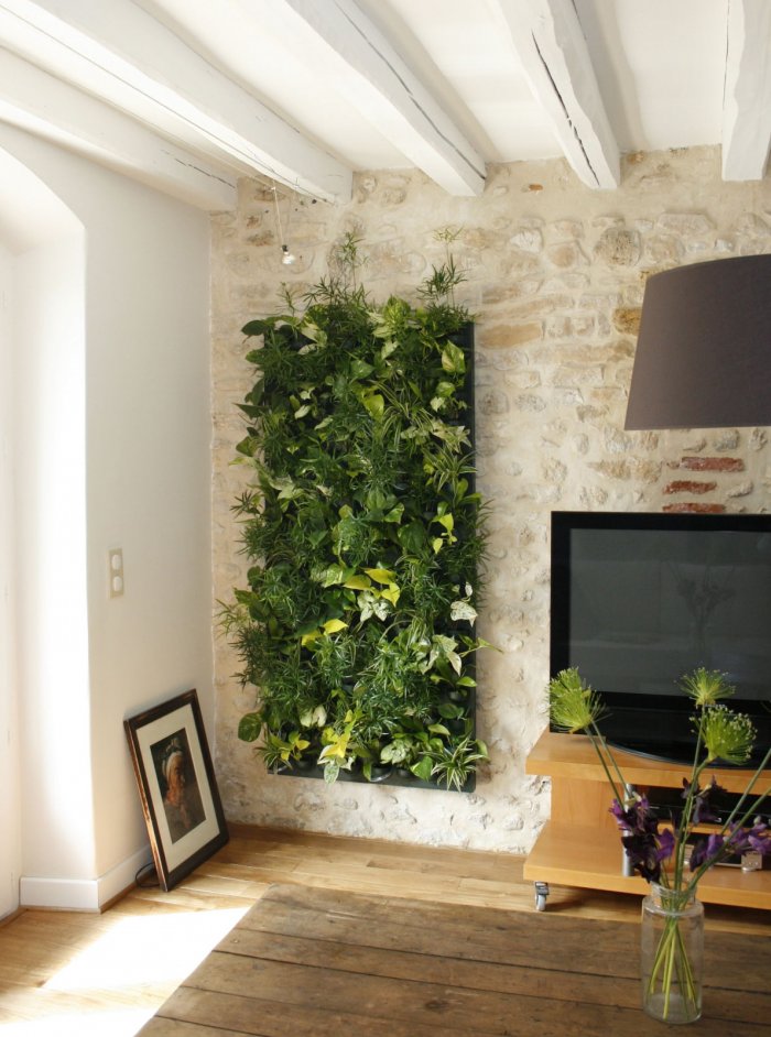 Фитостены из растений