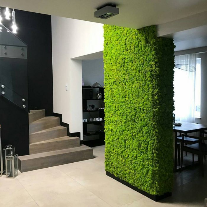 Мох ягель стена