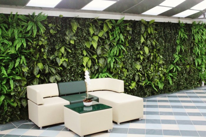 Green Sky фитостены