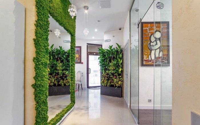 Фитостены из мхов и растений