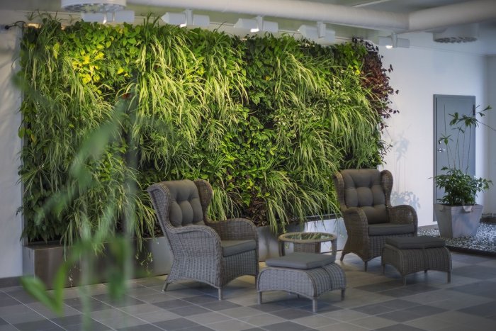 Зеленая стена в зимнем саду