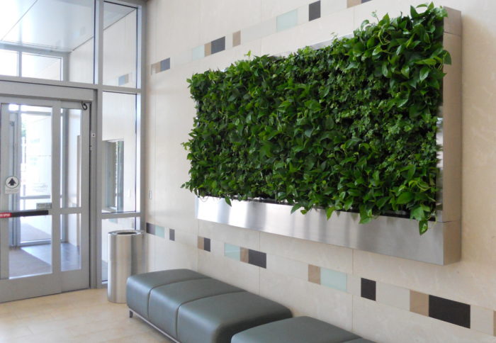 Green Sun фитостены