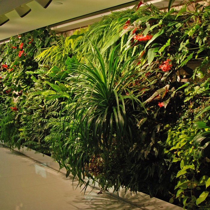 Патрик бланк фитостены