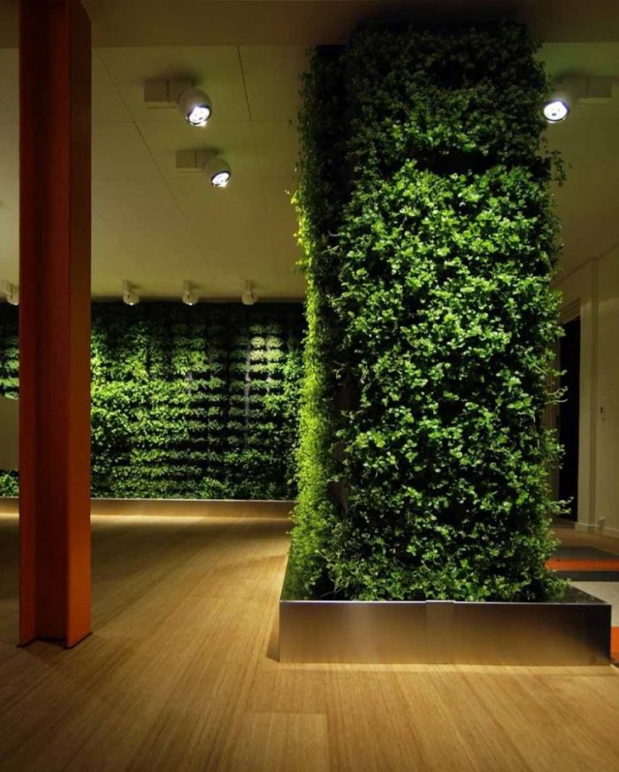 Green Sun фитостены