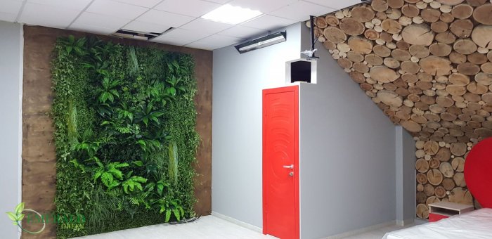 Фитостена искусственные растения