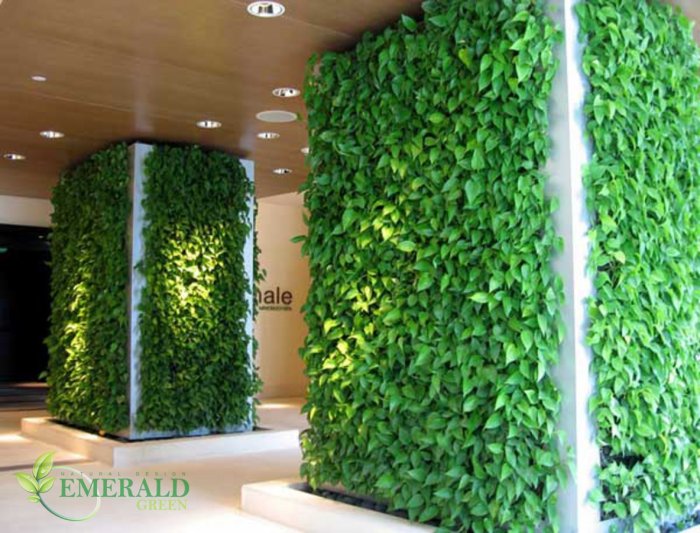 Green Sun фитостены