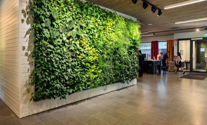 Вертикальное Озеленение зеленая стена