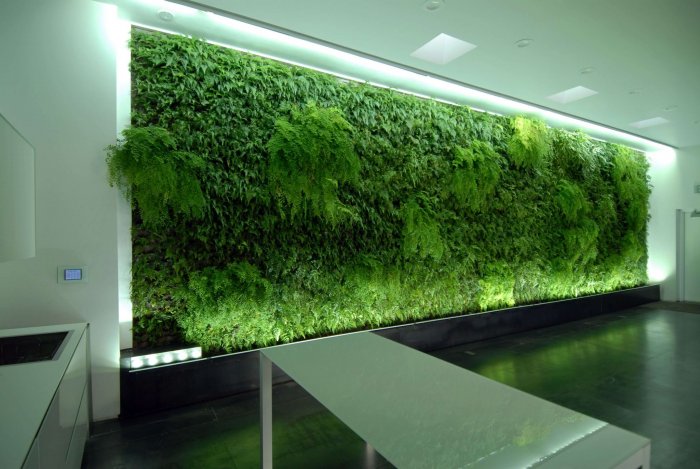 Фитостена из мха и растений