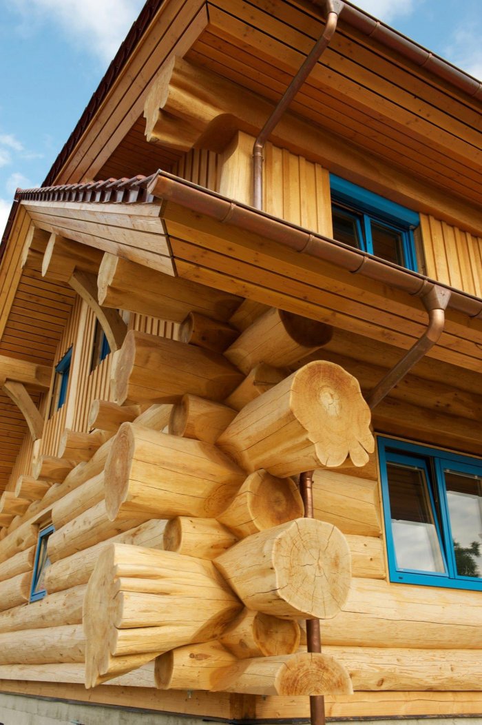 Канадский кедр сруб