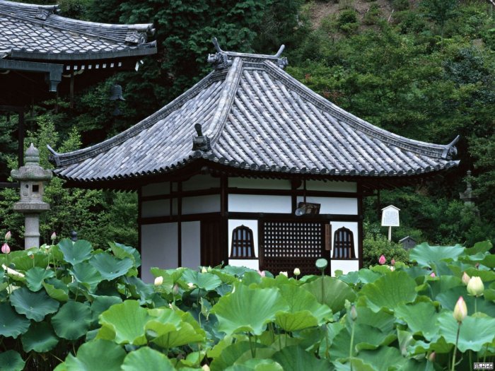 Архитектура Японии Минка